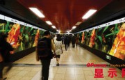 LG:2016年著力提高OLED標(biāo)牌產(chǎn)品銷(xiāo)售