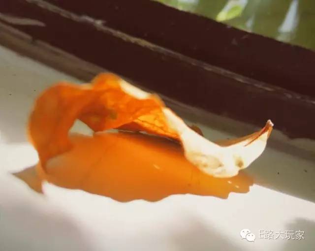 手機(jī)攝影俱樂部&ldquo;金秋旅行手機(jī)攝影賽&rdquo;獲獎名單出爐