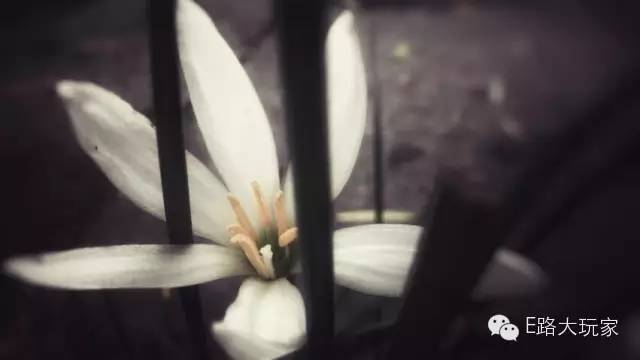 手機(jī)攝影俱樂部&ldquo;金秋旅行手機(jī)攝影賽&rdquo;獲獎名單出爐