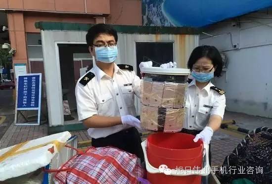 女子用水桶、臺(tái)秤夾藏49部iPhone過(guò)海關(guān)