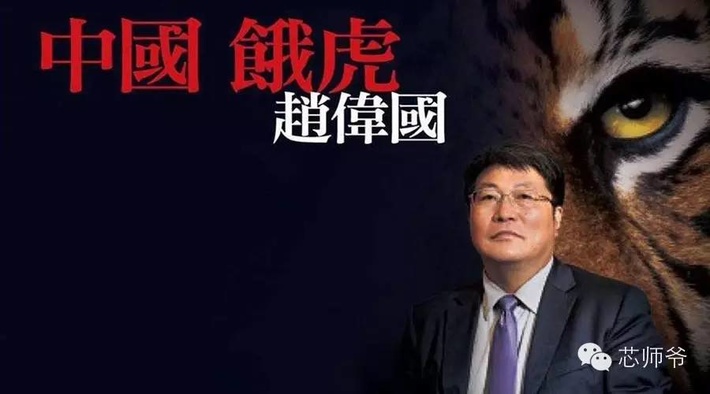 趙偉國(guó):其實(shí)你不懂我的“芯”