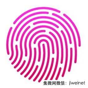 2021年生物識別市場規(guī)模逾300億