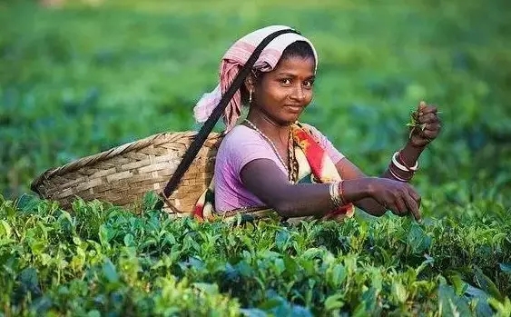 印度制造:中國企業(yè)的機(jī)遇和風(fēng)險(xiǎn)