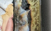 Note 7電池爆炸或遭召回 供應(yīng)鏈掀風(fēng)暴