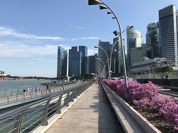 iPhone 7 Plus外景拍攝