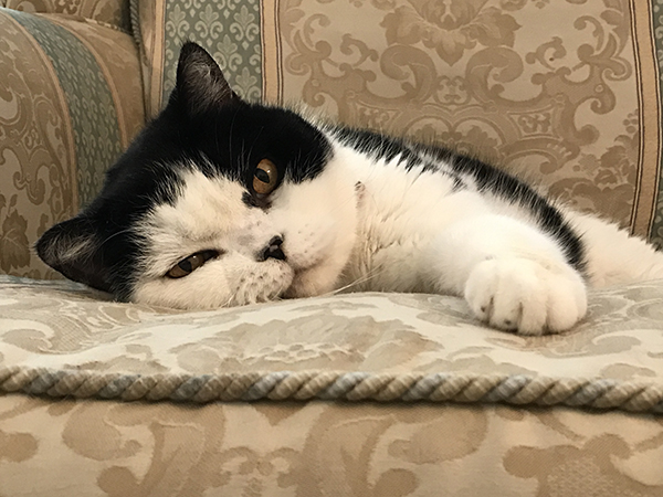 iPhone 7 Plus外景拍攝