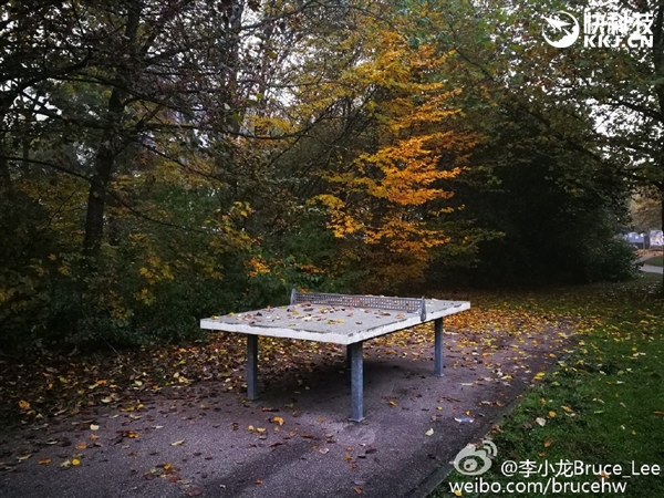 徠卡雙攝逆天！華為Mate 9實(shí)拍樣張首曝：給力