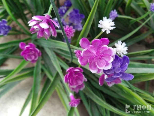 海信雙屏手機A2體驗 水墨屏+側(cè)面指紋