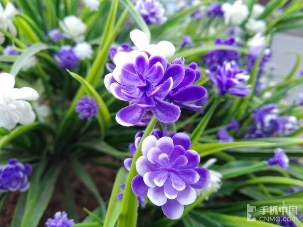 海信雙屏手機A2體驗 水墨屏+側(cè)面指紋