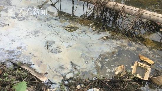 從舊手機中提煉黃金 每年數(shù)噸