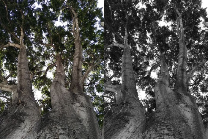 看Essential手機(jī)是如何打磨雙攝像頭拍攝優(yōu)秀照片的