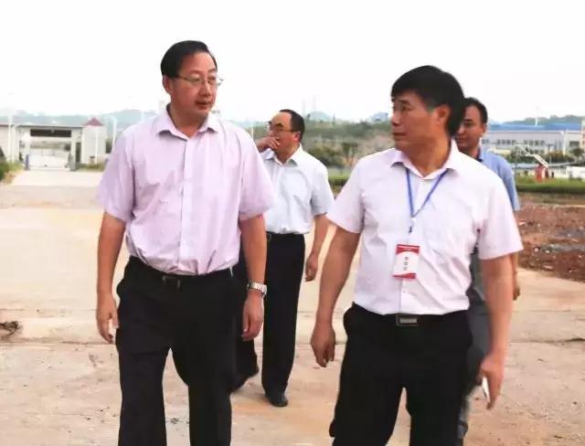 總投資20億元彩虹邵陽(yáng)特種玻璃項(xiàng)目開工，將建4條蓋板玻璃生產(chǎn)線