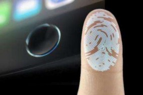 國內(nèi)指紋市場簡報(bào)：8月市場回暖，模組廠集體起量