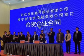 康寧與彩虹擬成立合資公司