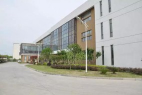 秀出“膜”力！重慶星楓科技將攜光學(xué)級離型膜本土參展