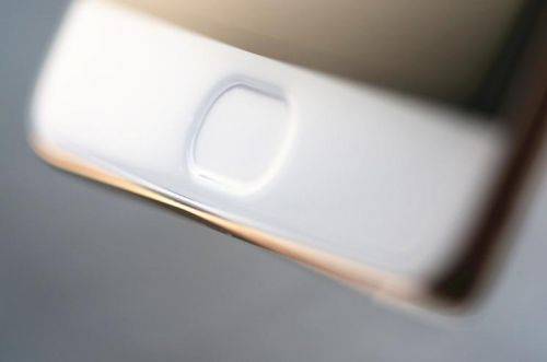 別等了，屏下指紋識別可能真的要涼了