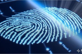 蘋果沒放棄 硅基OLED讓屏下指紋識別成為可能