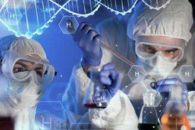 福建石墨烯產(chǎn)業(yè)集聚效應(yīng)初顯 “兩核三區(qū)”產(chǎn)業(yè)格局加快形成