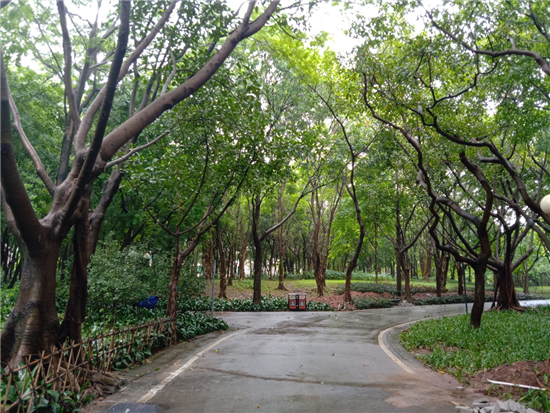 vivo Y81s拍照體驗(yàn):千元機(jī)中的拍照利器