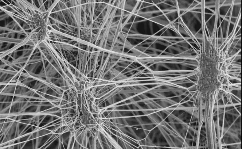 消費者心聲：我手機的鏡頭已經(jīng)夠好了，什么時候給我防防水？