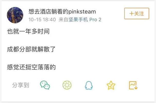 傳錘子解散成都分公司 才搬遷1年羅永浩就頂不住？