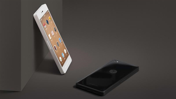 羅永浩被指無法支付工資 錘子：有危機但請給時間