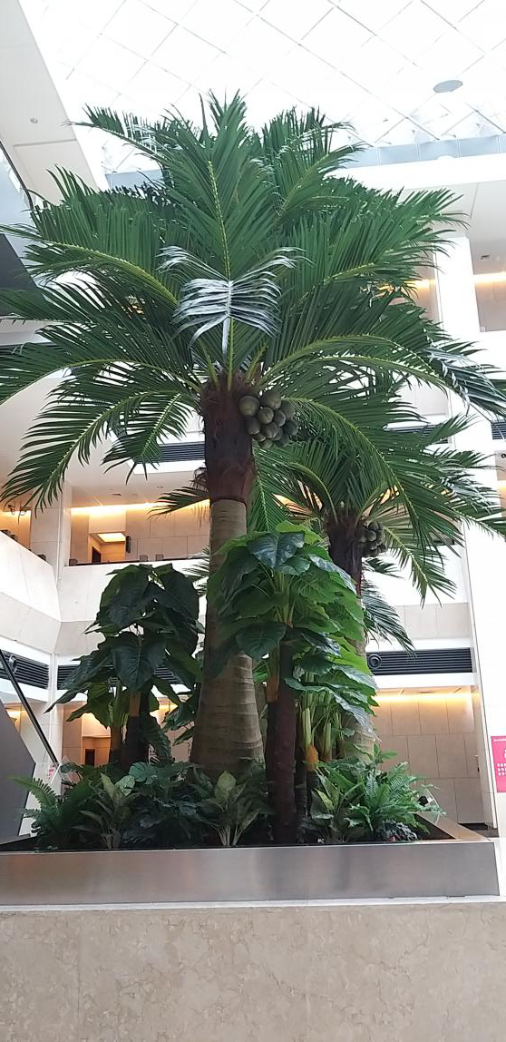 三星四攝像頭智能手機A9s:拍照效果名副其實