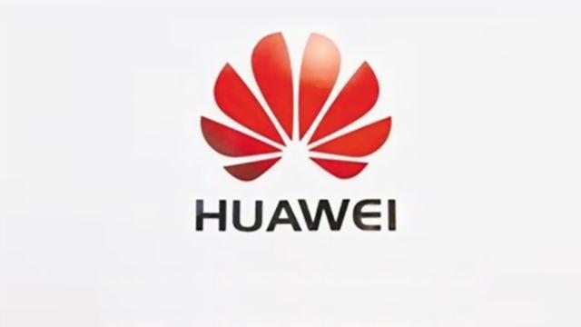 孟晚舟獲保釋 華為:期待美加能及時公正結(jié)束事件