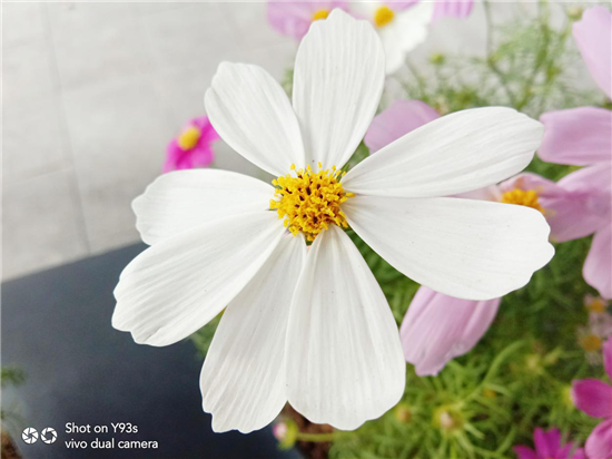 vivo Y93s初體驗：既是偶像派，也是實力派