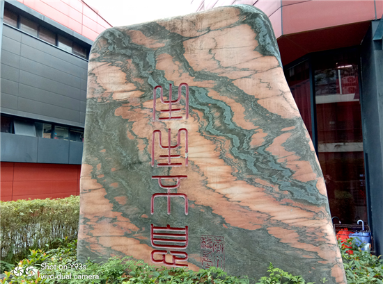 vivo Y93s拍照實測：AI加持，高顏值千元拍照利器