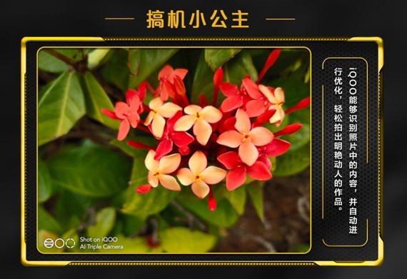 索尼旗艦級IMX363傳感器，iQOO拍照效果如何樣張會說話
