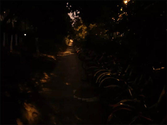 華為P30銀河樣張?jiān)旒?？攝影師公布樣張照：夜視儀名不虛傳