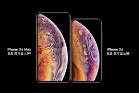 傳蘋果將打造中國(guó)特色版iPhone，削掉Face ID改用屏幕指紋