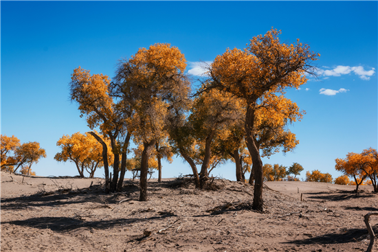 探尋不止，逐路G7 帶上vivo Z5踏上&ldquo;中國最美公路&rdquo;體驗(yàn)行