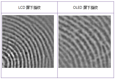 博觀約取，厚積薄發(fā)&mdash;揭秘思立微LCD屏下指紋方案
