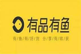 別樣雙11！有品有魚會(huì)員服務(wù)制電商強(qiáng)勢來襲 省心省力省時(shí)省事