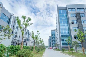 丘鈦科技發(fā)布盈利預告:年度凈利預增逾33倍