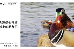 榮耀30系列打造系統(tǒng)級(jí)影像能力，聯(lián)合世界自然基金會(huì)用鏡頭守望地球生靈