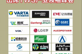 電池領域最強陣營出席TWS產(chǎn)業(yè)領袖峰會